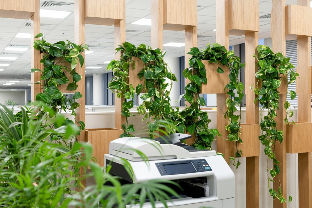 Cool Plants Office (1)